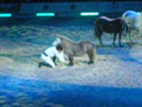 Jean-françois Pignon criniere d'or 2009 videos 7