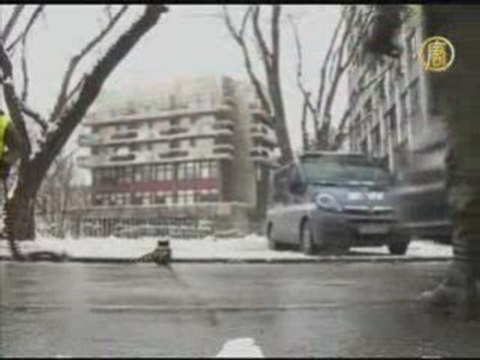 Краков принимает саммит НАТО