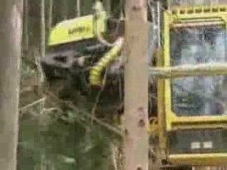 Comment les forêts disparaissent