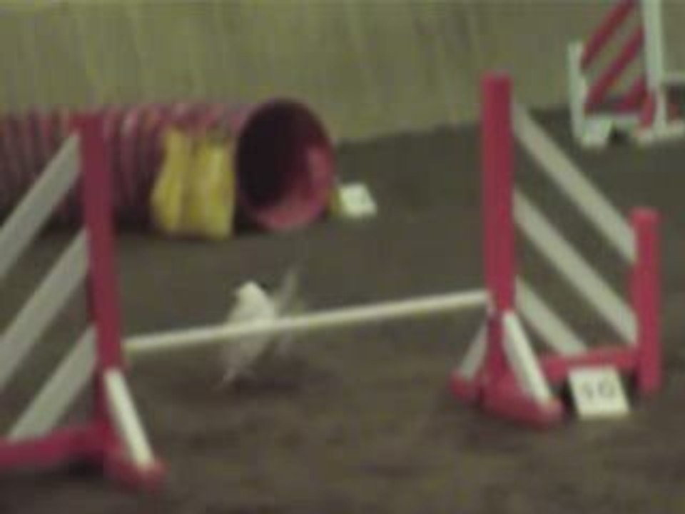 Jump bib tichemont