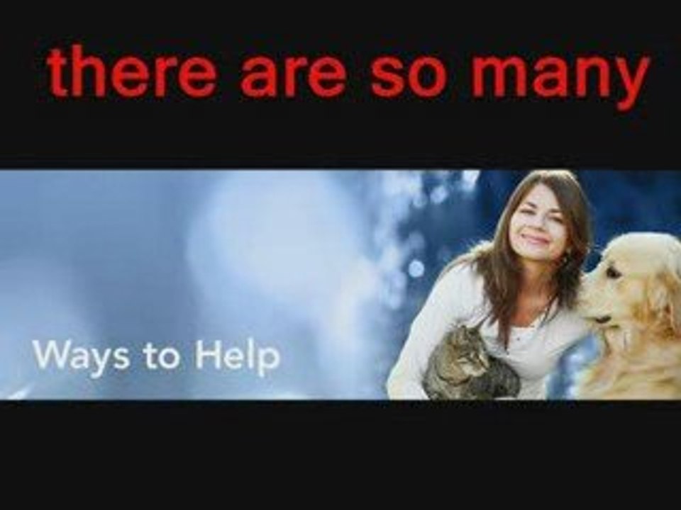 ❤the other side of love ...(against abuse of animals)❤