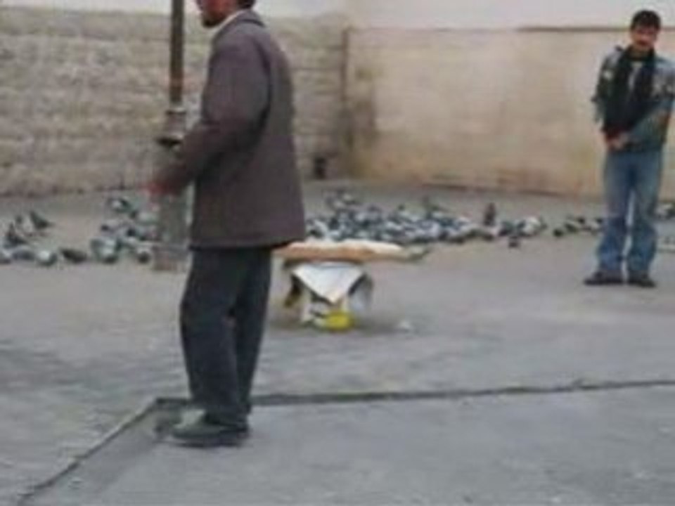 Damascus