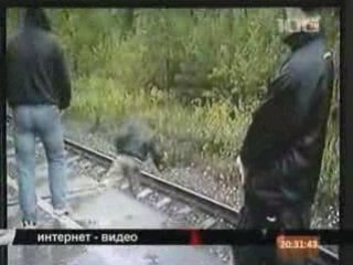 фильм питер