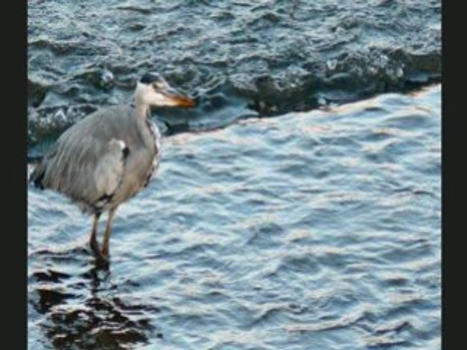 Photographies Nicolas LEPAGE