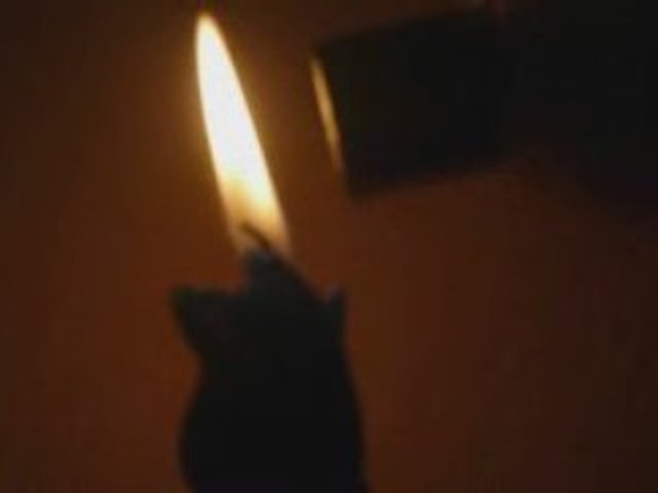 Flamme aimant
