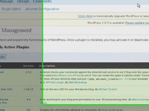 How To Automatically Upgrade Your Wordpress Blog Plugin