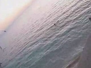 Dernier bain au coucher de soleil