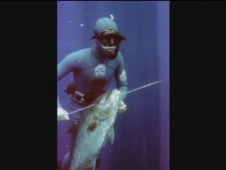 CHASSE SOUS MARINE AUX ACORES