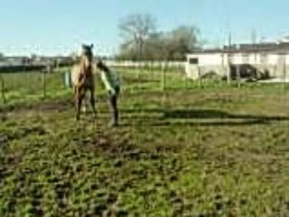 Vacance noel reveillon 006