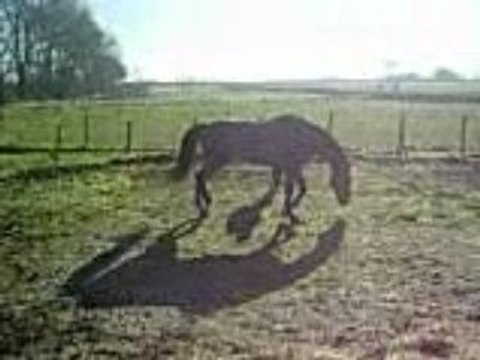 Vacance noel reveillon 005