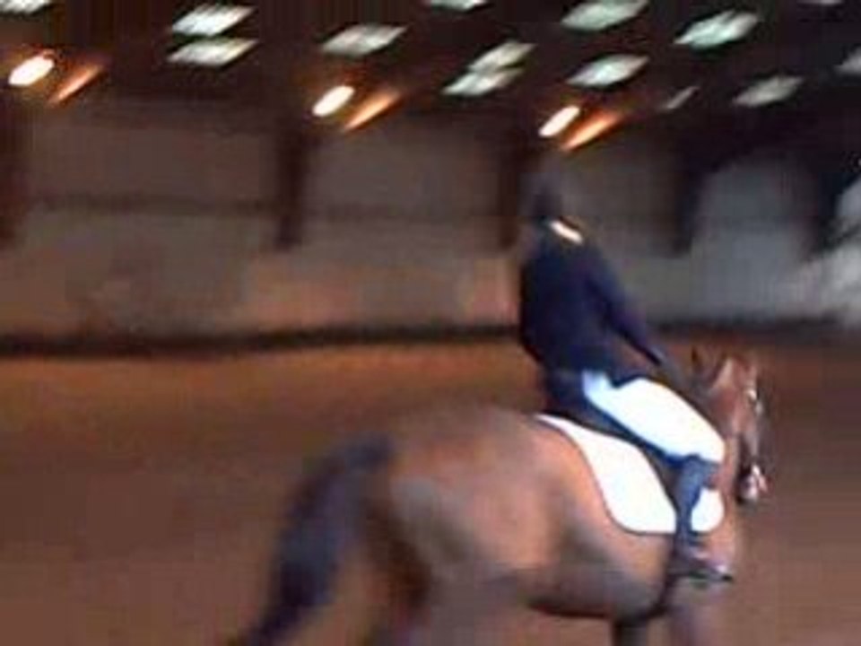 reprise de dressage Préliminaire à la  Pirouette le 22/02/09