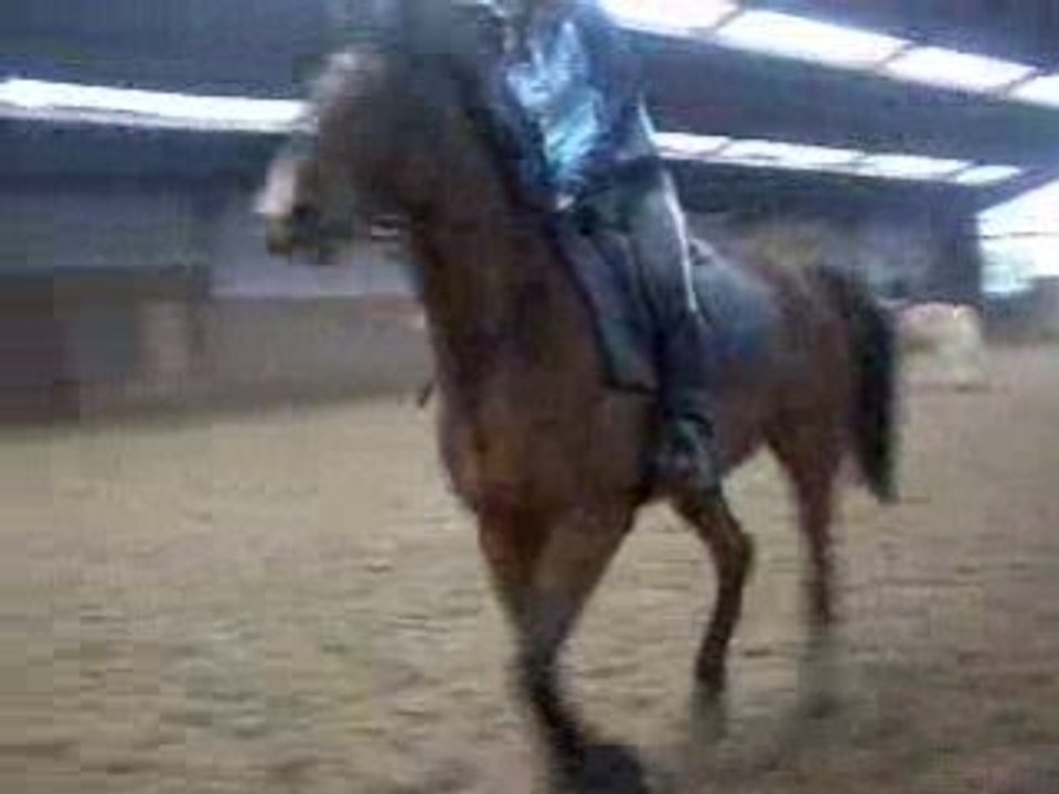 Galop individuel