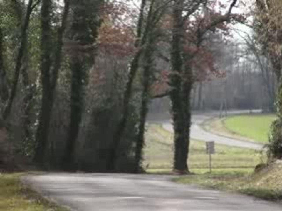 chasse au renard+ bécasse meute de Mouflon