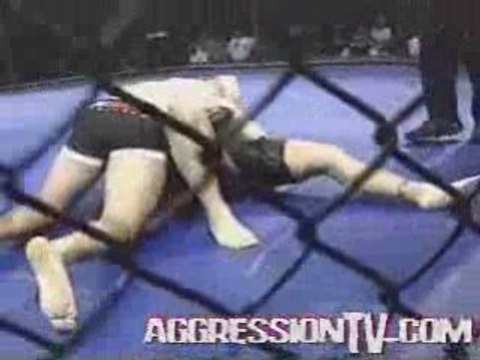 Antonio Rodrigo Minotauro Nogueira vs. Nate Schroeder