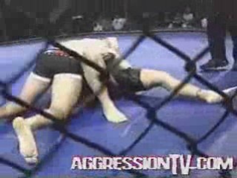Antonio Rodrigo Minotauro Nogueira vs. Nate Schroeder