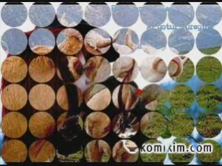 Devran beni senmi yarattın