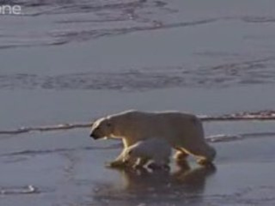 Adaptandose a nuestros errores