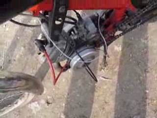 Peugeot TS 50 ( SP café racer)