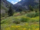 Andorre nature & faune (#1)