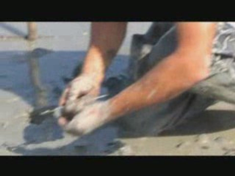 La pêche... c'est le pied!