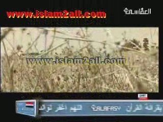 Kabr al habeeb ( قـبر الحبيب ) - Alafasy