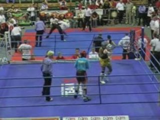 Entraîment coup de pied round kick