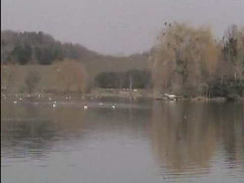 LE CHANTS DES OISEAUX 0 1 74 61 07 18