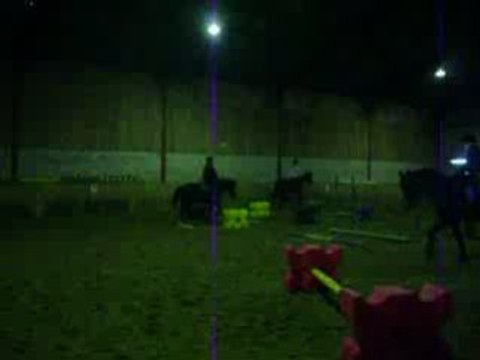 Travail sur barres au sol et cavalettis (5)