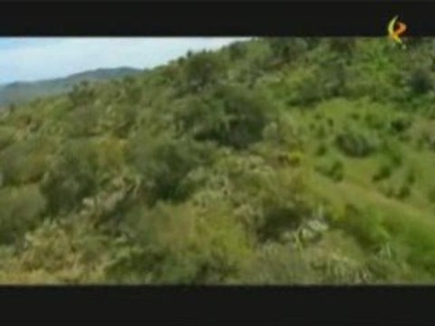 [Cáceres 1/2] Autour de Cáceres