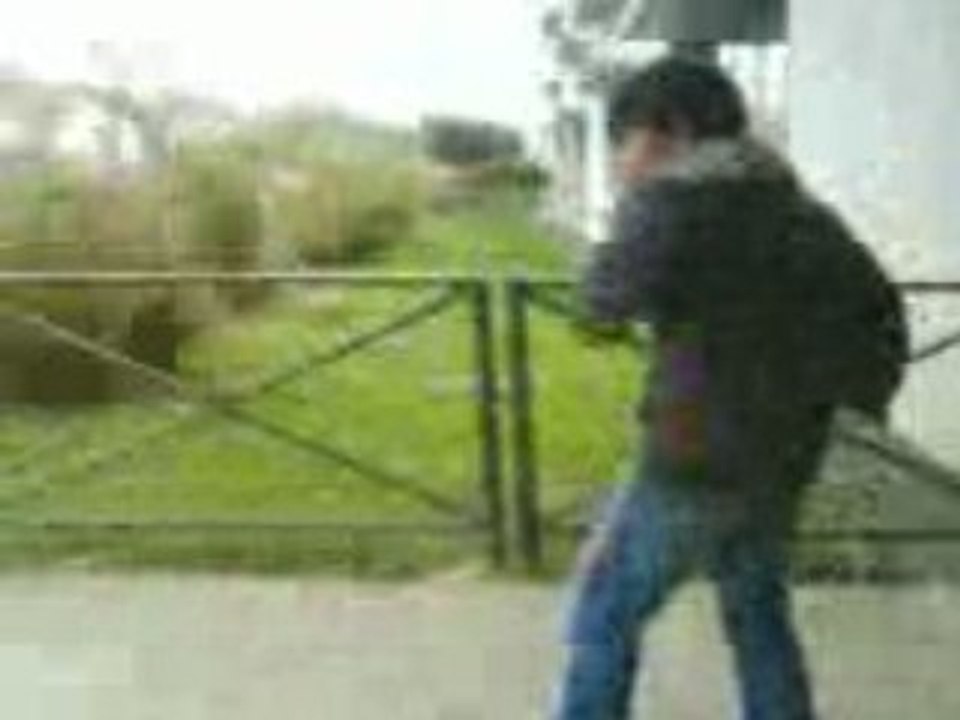 session de skate