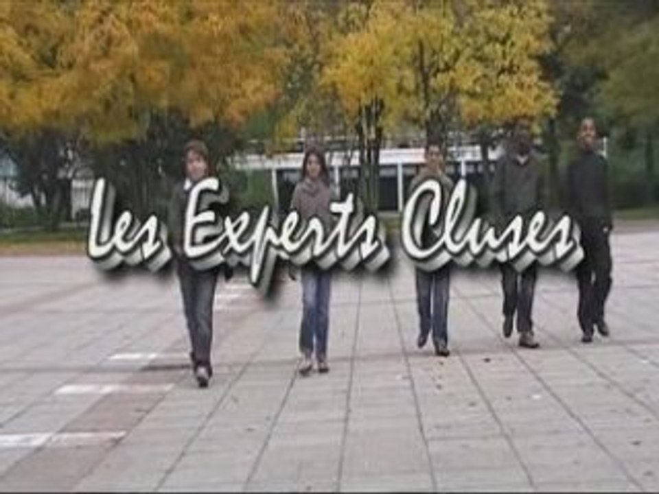 les experts cluses.2009