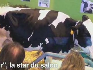 Le plus fort du salon de l'agriculture 2009