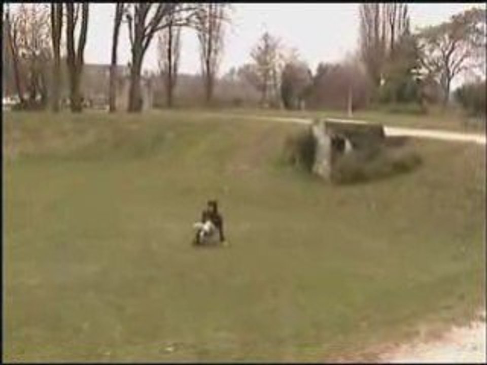 magicsnam vs backintime intro