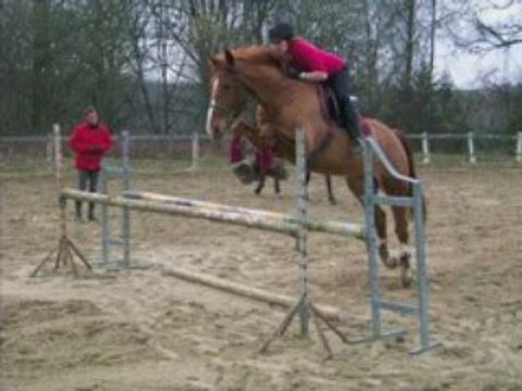 Stage Galop 7 (Cso - Otello de gineau)