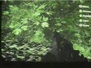 Bug CoD5 ! lucas60620 et PP LUTIN