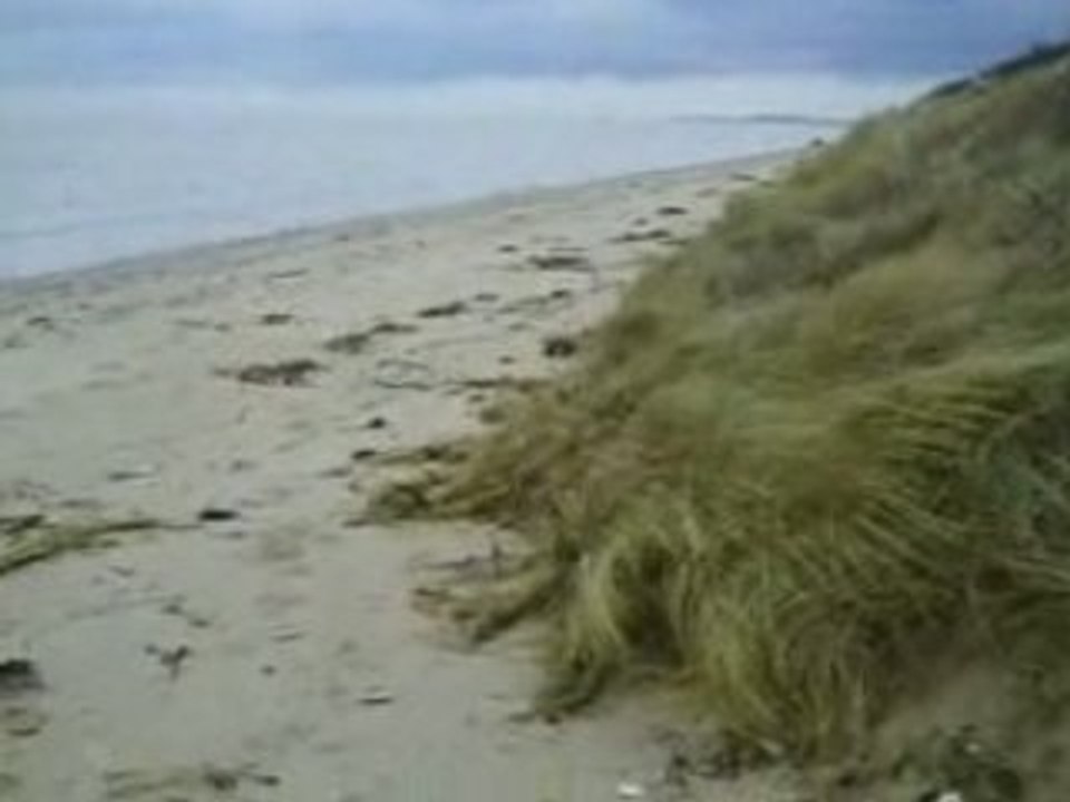 Kite buggy au hemmes a grande marée