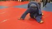 Blue Belt beats Purple Belt