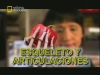 Esqueleto y articulaciones