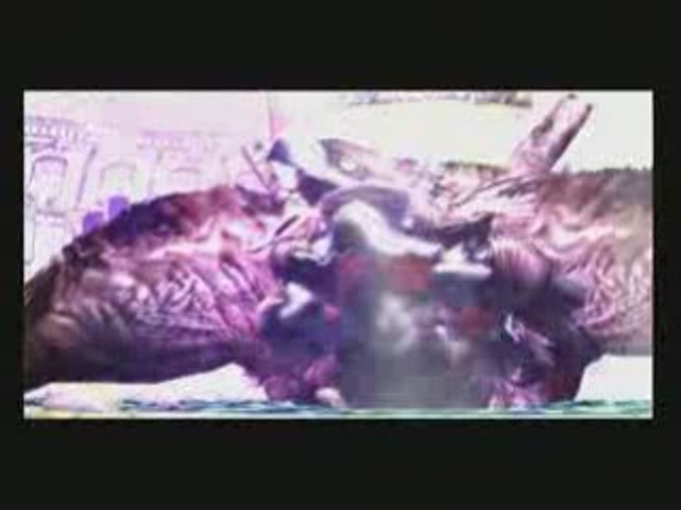 Griffon 3 defeat