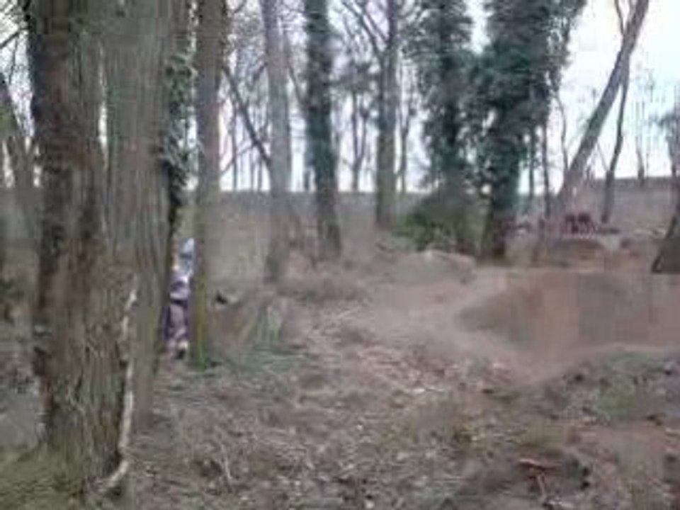 Champ de bosse (2)