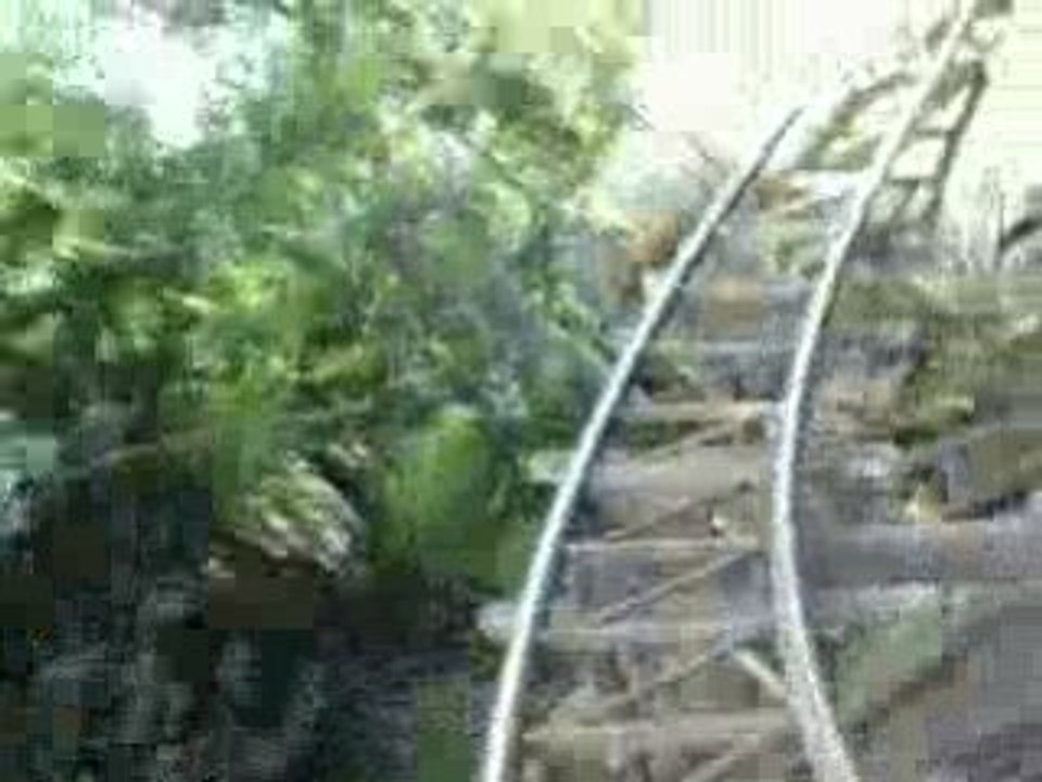 Disneyland-Indiana Jones