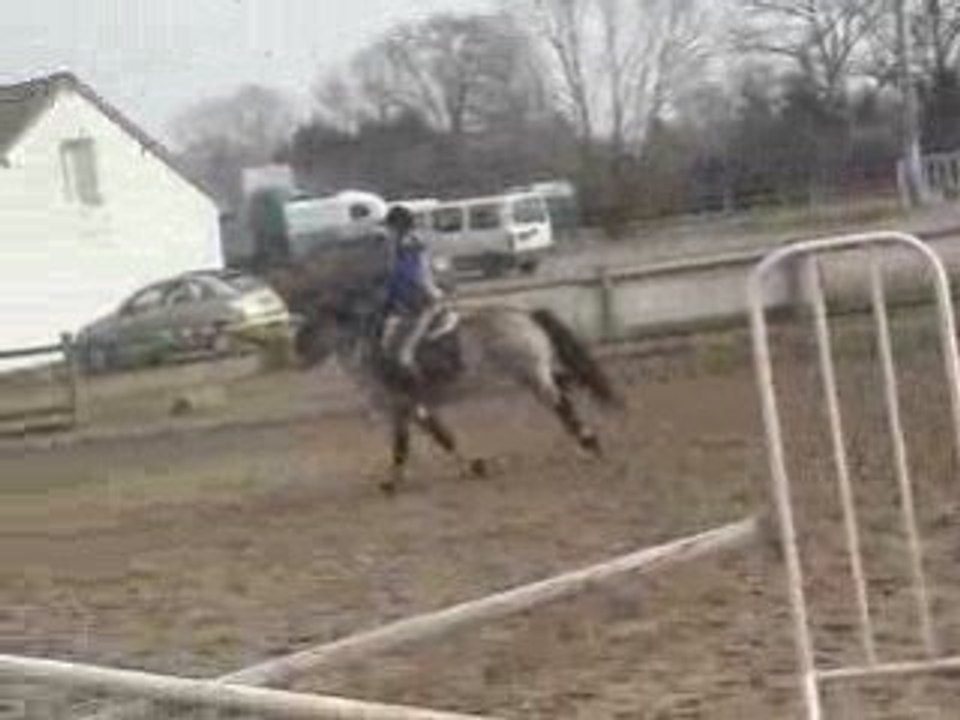 Ocibelle 2