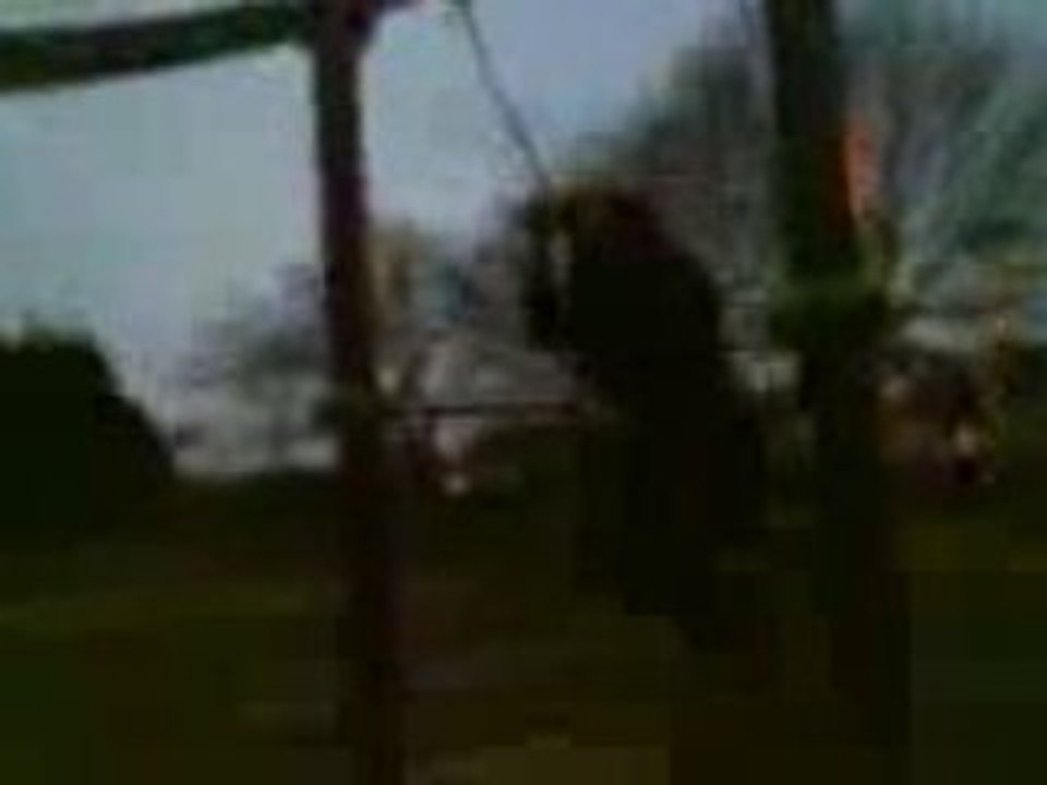 Grand N'importe quoi XD2