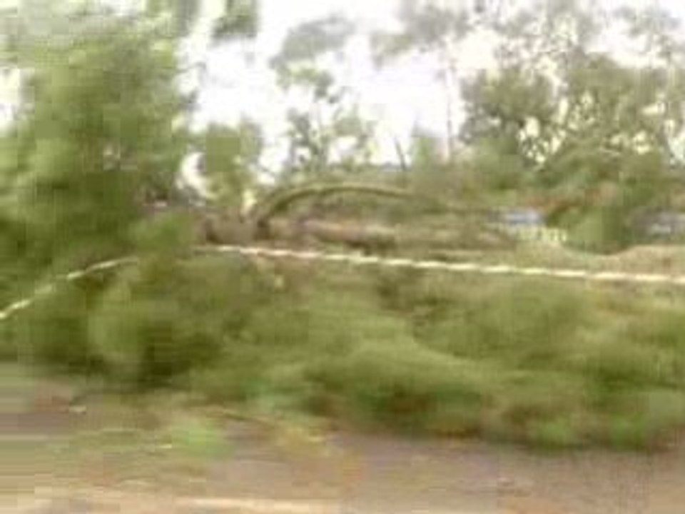 Ravages de la Tempête Klaus du 24 01 2009 Landes  Aquitaine