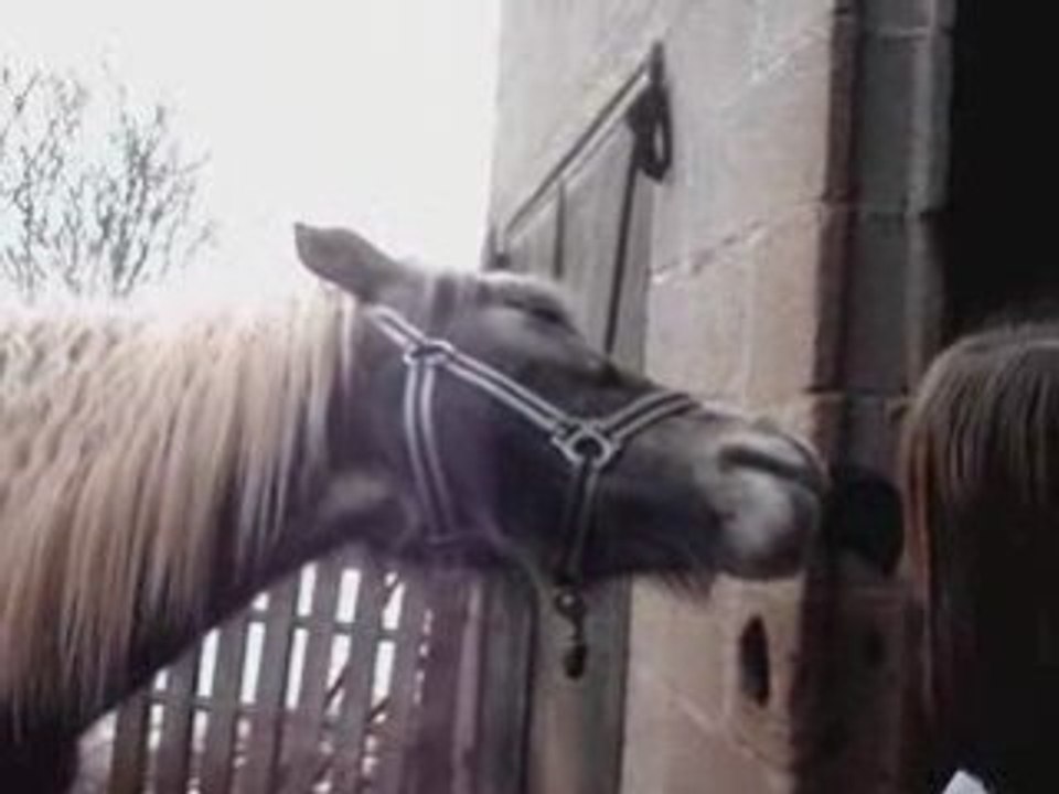 Flash & soeurette Aprem x3