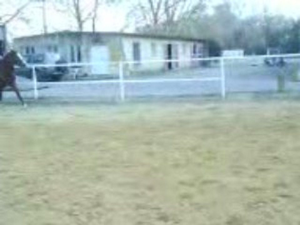Cours obstacle 26/02