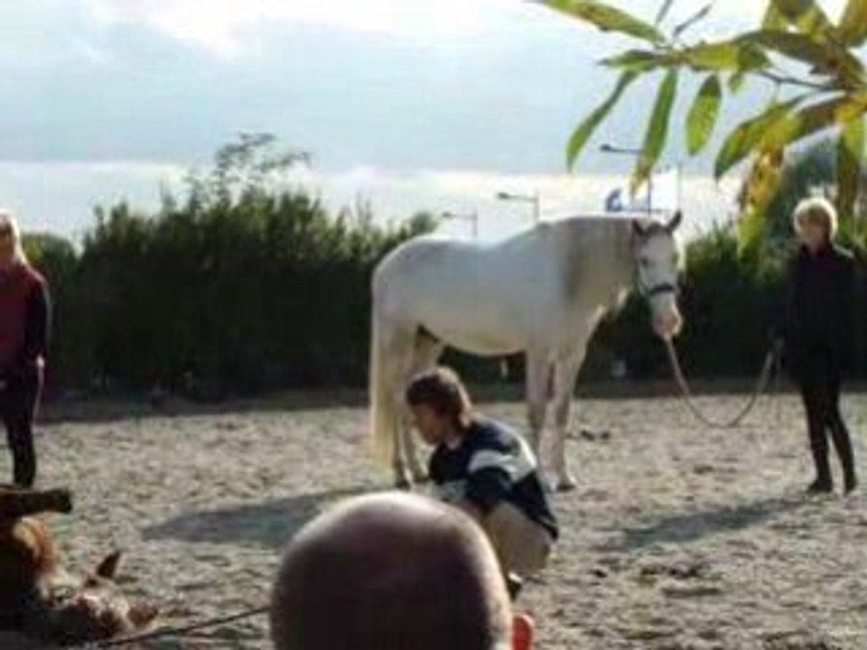 Jean-François Pignon