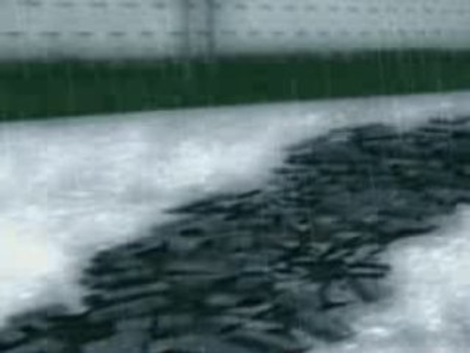 Essai FX - Tremblement de terre