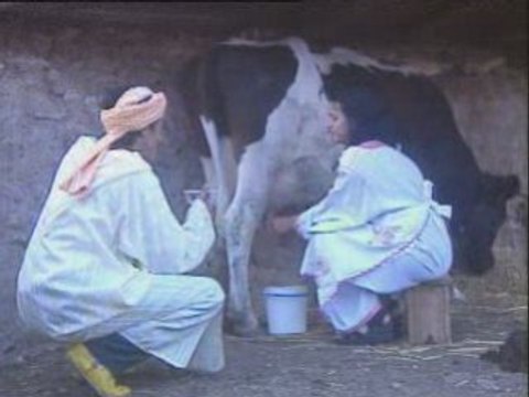 Cha3bi chaabi nachat zarra.tk farid kenitra 5