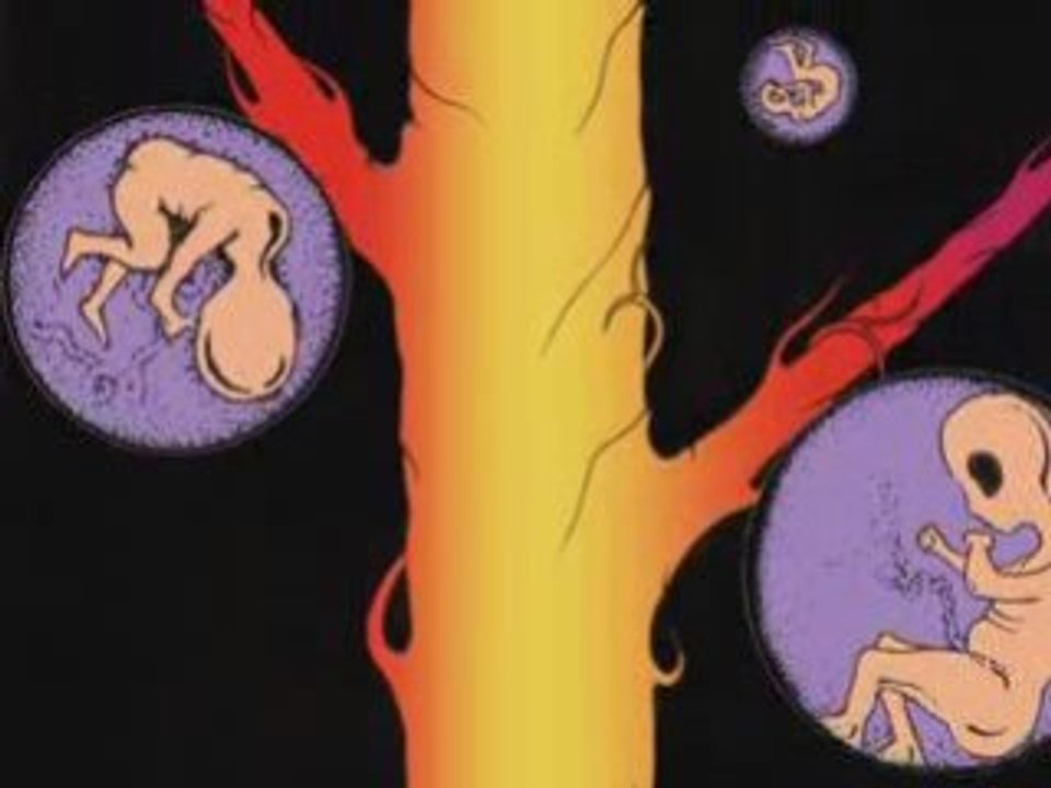 Just for fun!..."Embryo"